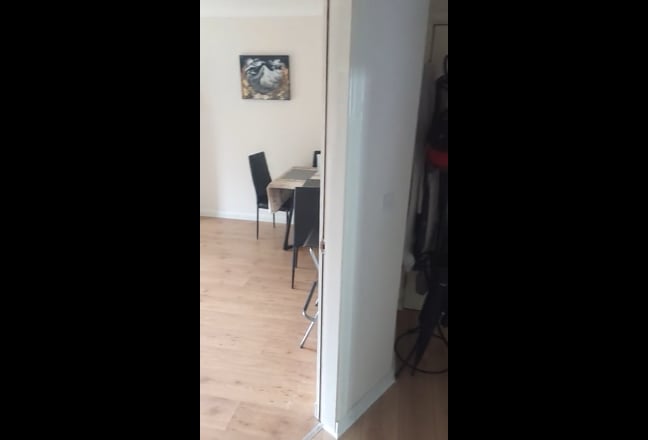 Video 1: 