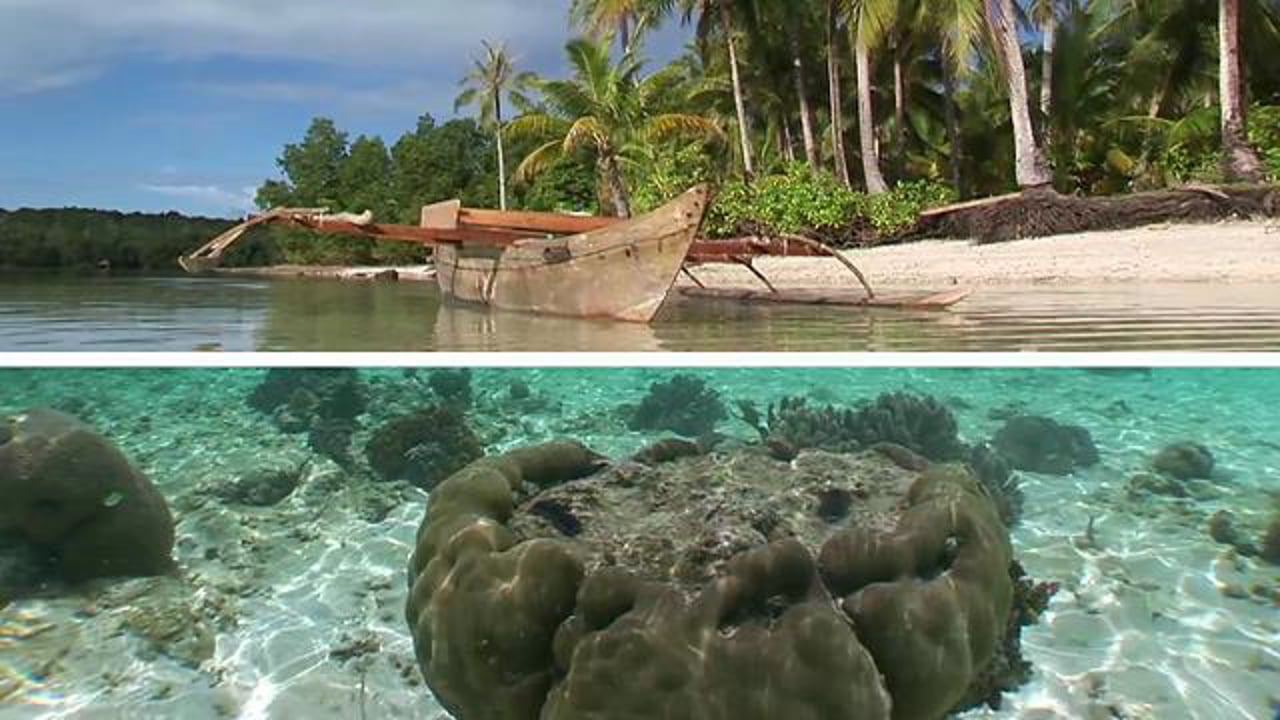 Raja Ampat, Above & under