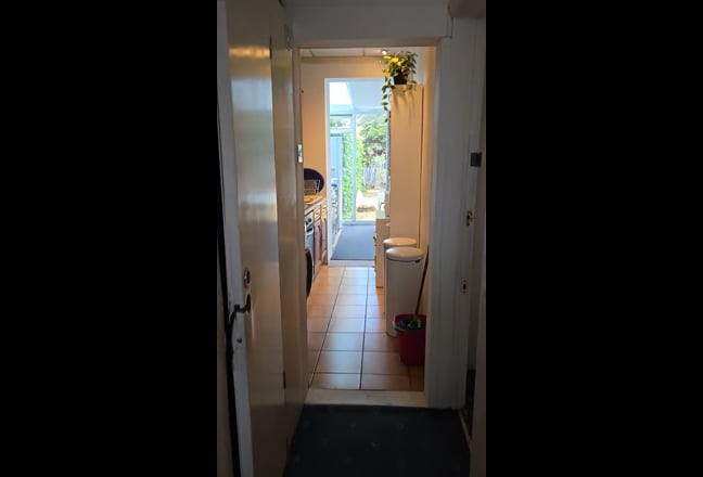 Video 1: 