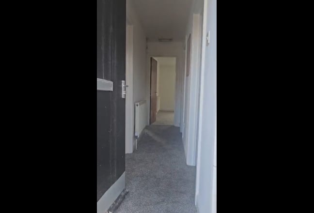 Video 1: 