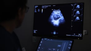 Vision Virginia 2026 - Pregnancy Centers | SBCV