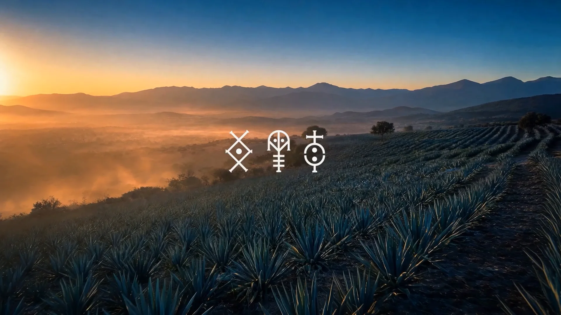 Mezcal Sin Pena — Spec Spot, AI-produced video by Moises Lemus
