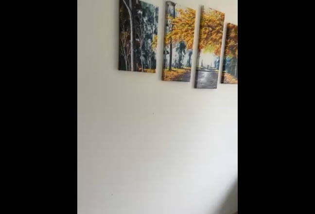 Video 1: 