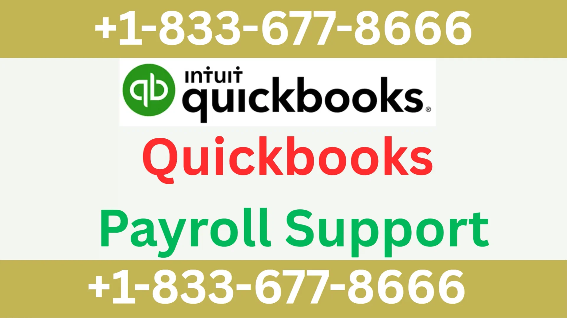 QuickBooks Payroll Support | Complete Setup Guide for Assistance