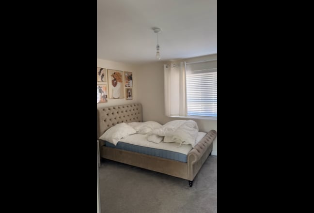 Large Furnished Master Room | Quiet Professional  Main Photo