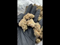 Monster cookie