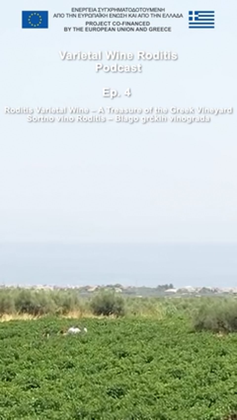 Podcast Roditis Επ. 4 Ο ποικιλιακός οίνος Ροδίτης – Ένας θησαυρός του ελληνικού