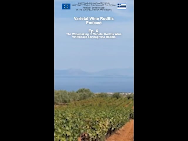 Podcast Roditis Επ. 6 Η οινοποίηση του ποικιλιακού οίνου Ροδίτη