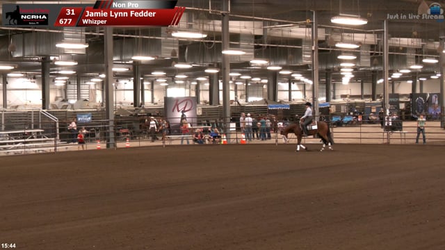#677 Jamie Lynn Fedder