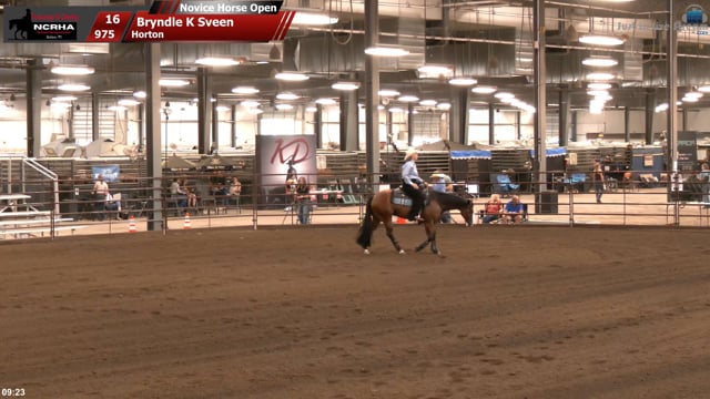 #975 Bryndle K Sveen