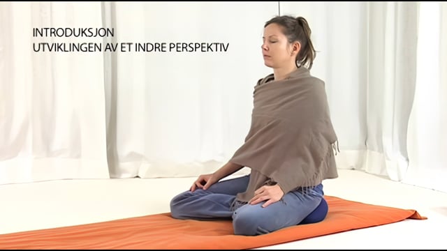 7. introduksjon - utviklingen av et indre perspektiv