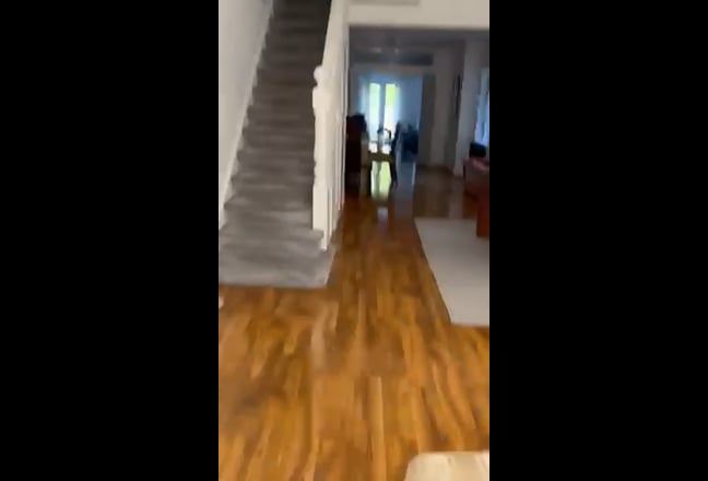 Video 1: 