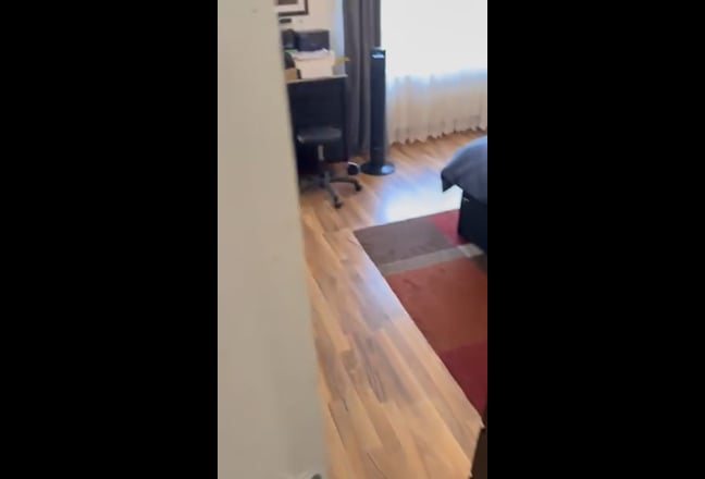 Video 1: 
