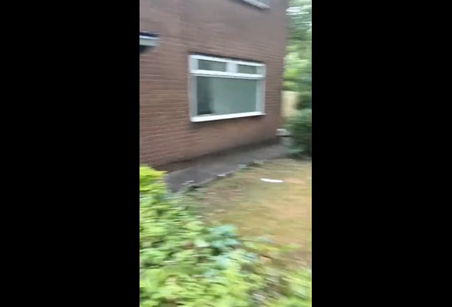 Video 1: 