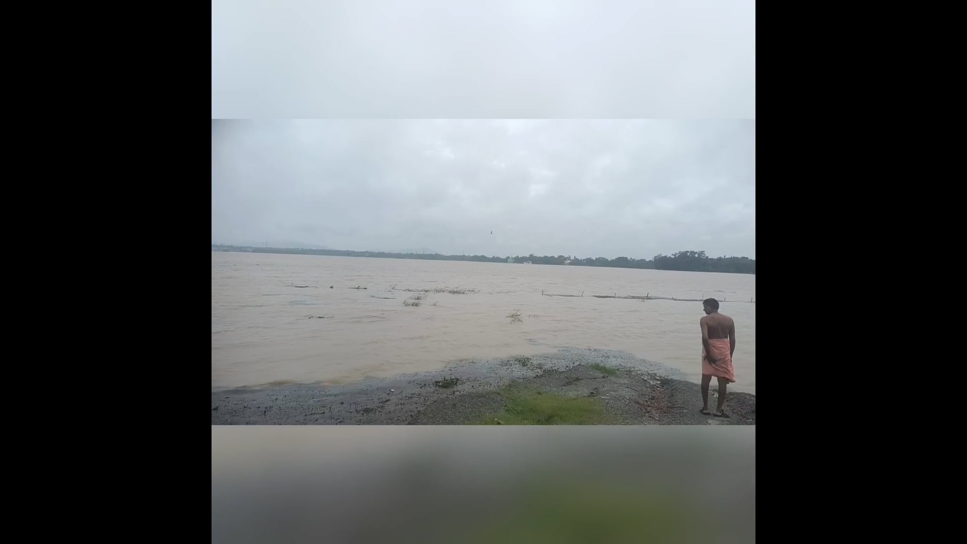  ସାରା ଓଡିଶା ରେ ବର୍ଷା ବିତ୍ପାତ।ଉପକୂଳ ଅଞ୍ଚଳରେ ବନ୍ୟା ପରିସ୍ଥିତି। ଜୀବନଯାତ୍ରା ବ୍ୟାହତ ହୋଇଛି। ରାଜ ରାସ୍ତା ରେ ଅଣ୍ଟାଏ ଲେଖେ ପାଣି।