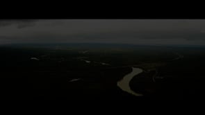 Rooted in Growth Economic Video