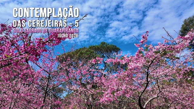 Capa do vídeo do “Contemplação (5) das Cerejeiras no Solo Sagrado de Guarapiranga - Julho / 2026”.