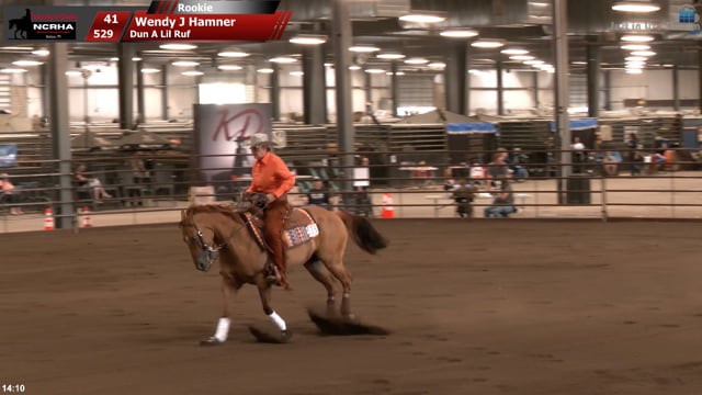#529 Wendy J Hamner