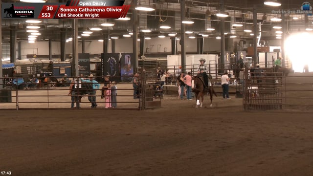 #553 Sonora Cathairena Olivier