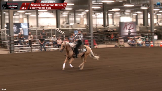 #559 Sonora Cathairena Olivier