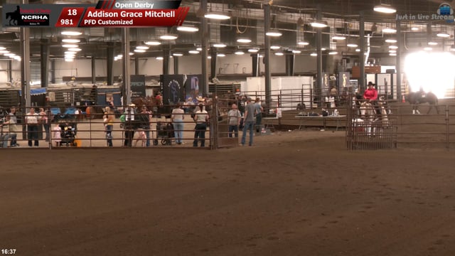 #981 Addison Grace Mitchell