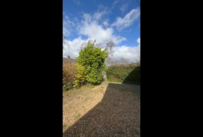 Video 1: 