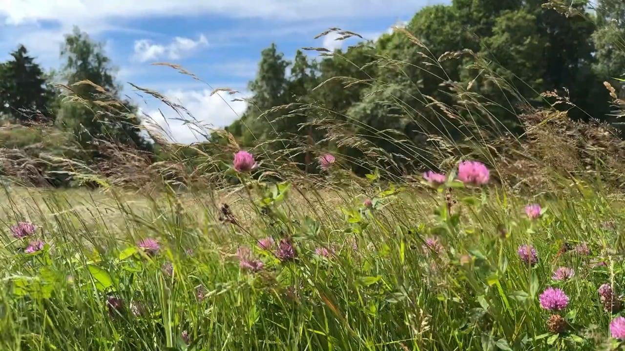 4 rum Villa på Morlanda-Gunneröd 823 Morlanda-Gunneröd Orust kommun - video