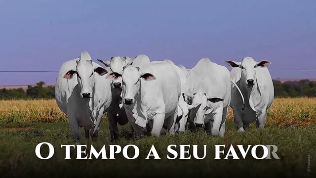 VT COMERCIAL