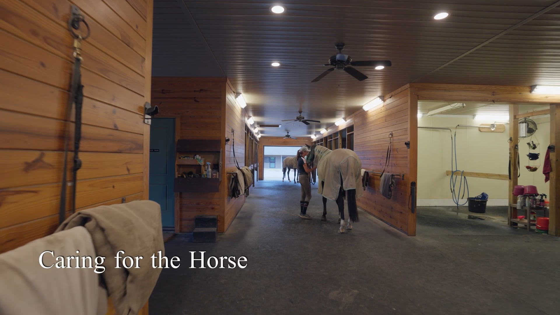 Caring for Horse  526FNL