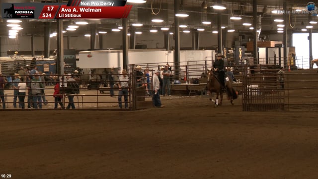 #524 Ava A. Welman