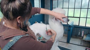 Related Embedded Video Item Thumbnail