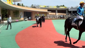 動画サムネイル