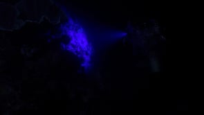 1272_Underwater photographer diving with uv light capture coral fluorescence