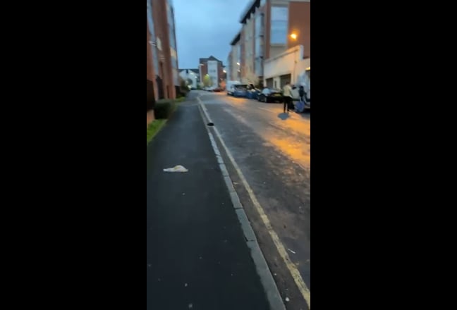 Video 1: 