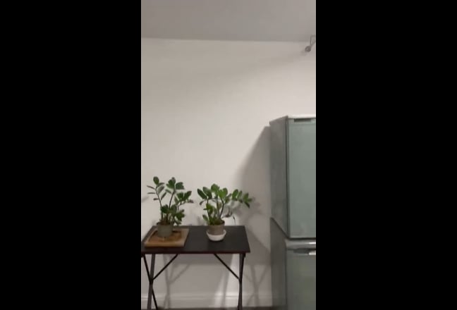 Video 1: 