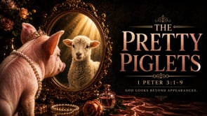 “The Pretty Piglets” | #beauty #peter #gospel #InnerBeauty #love #character