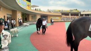 動画サムネイル