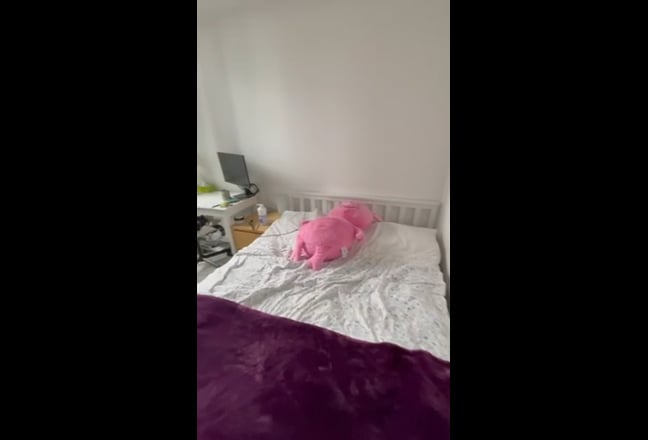 Video 1: 