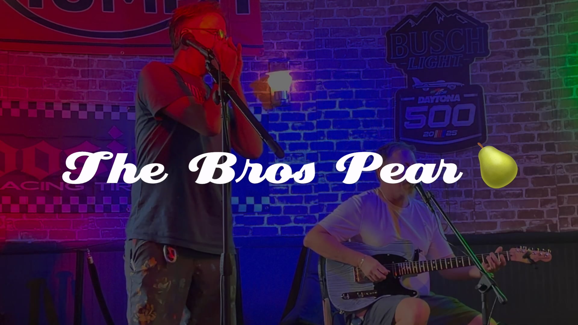 Promotional video thumbnail 1 for The Bee Pees
