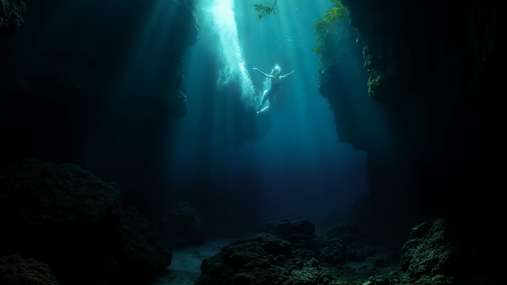 DR Teals - DIVER