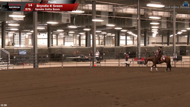 #976 Bryndle K Sveen