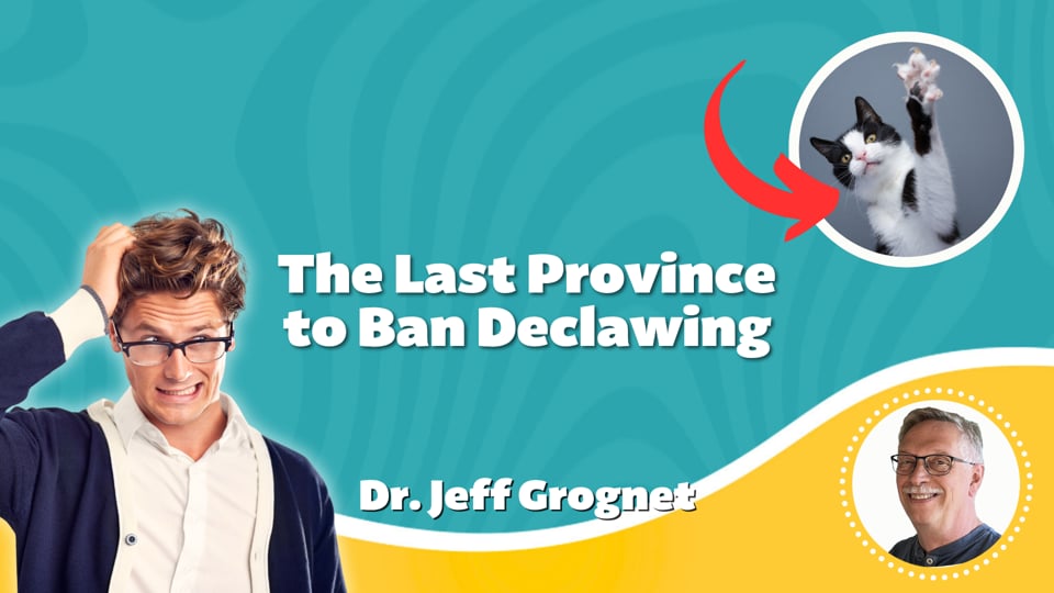 The Last Province to Ban Declawing
