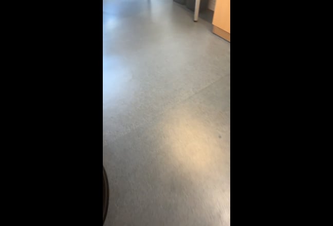Video 1: 