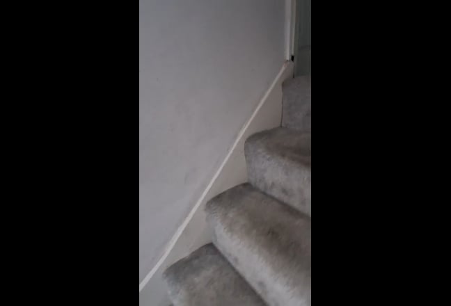 Fully Furnished Flat Available Now Main Photo