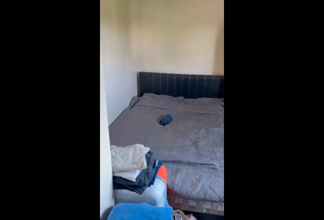 Video 1: 