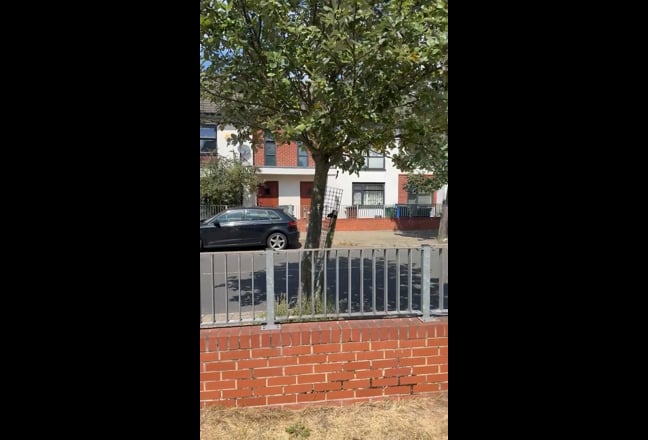 Video 1: 