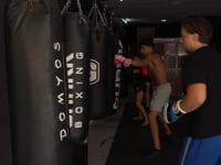 La boxa comença a bategar amb força a l'Escala
