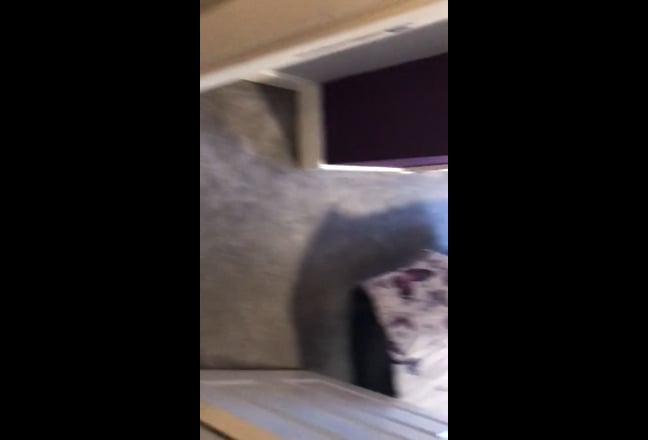 Video 1: Front of House