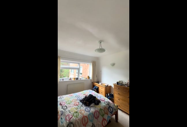 Room Available - Sept 1st - Stunning 3 Bed, 2 Bath Main Photo