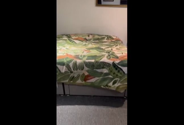 Video 1: 